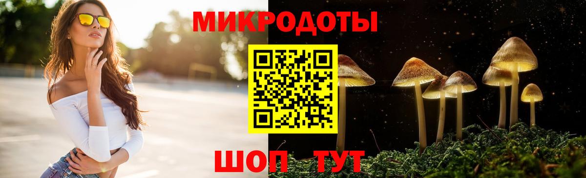 Псилоцибиновые грибы Cubensis  Вход с VPN  Арзамас  Псилоцибиновые грибы мухоморы 